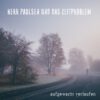 Herr Paulsen und das Zeitproblem - aufgewacht verlaufen (LP)